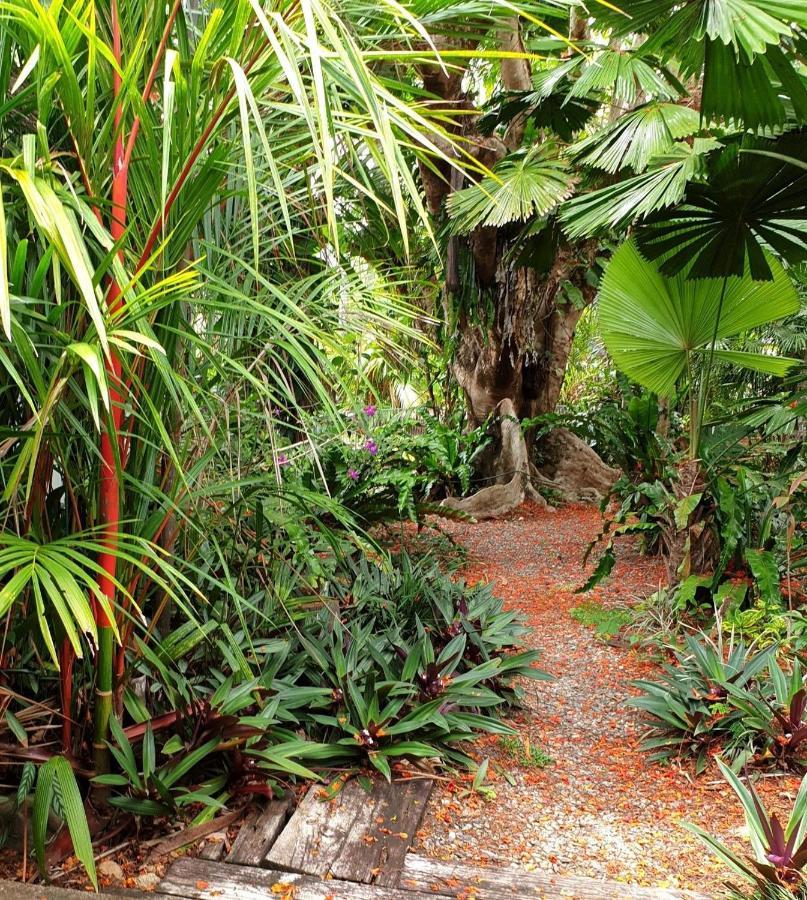 Rainforest Castaways Resort And Spa Mission Beach Extérieur photo