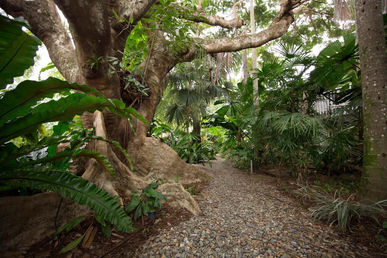 Rainforest Castaways Resort And Spa Mission Beach Extérieur photo